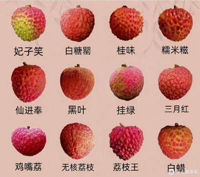 荔枝的分類與無核荔枝——你嘗過幾種？