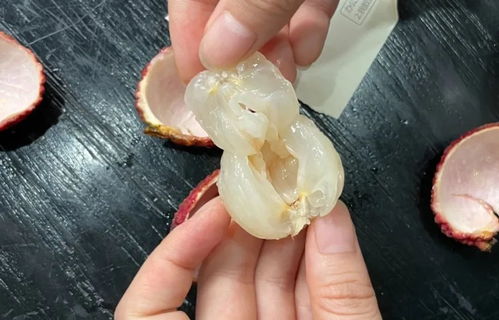 熱門荔枝大測評 無核荔枝來報恩了