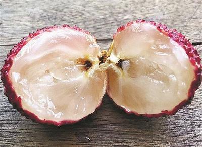 荔枝無(wú)核市民嘗鮮存疑惑 專家:通過嫁接等手段培育